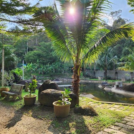 Rock Forest Chalet Bentong Luaran gambar