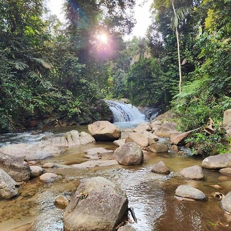Rock Forest Chalet Bentong Luaran gambar