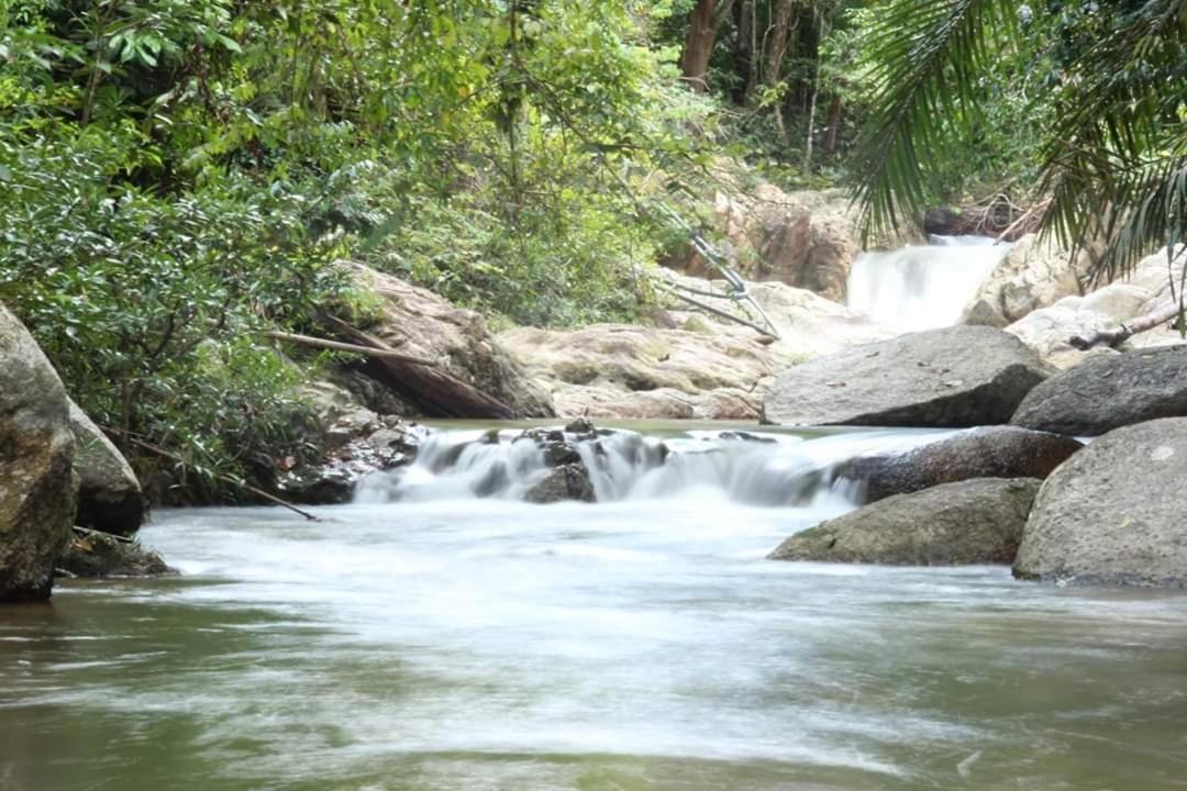Rock Forest Chalet Bentong Luaran gambar