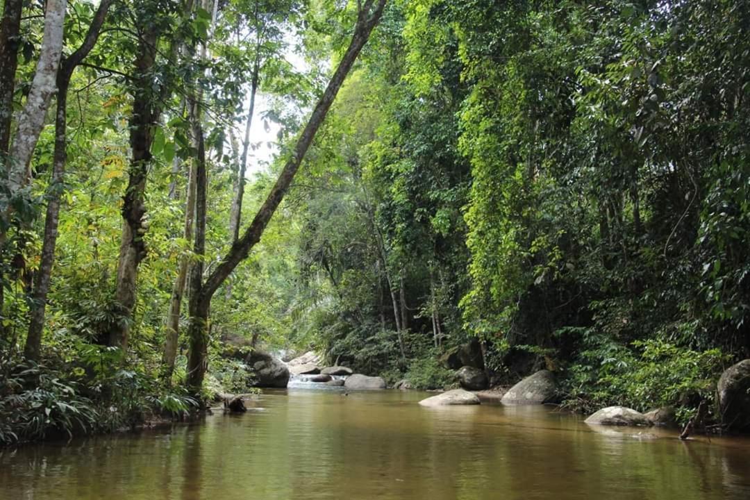 Rock Forest Chalet Bentong Luaran gambar
